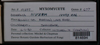 Image Associated With the Occurence